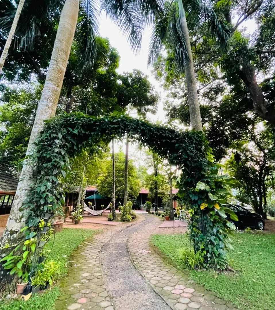 The Isle By Area 707 Apartment Alwaye 0*,  India